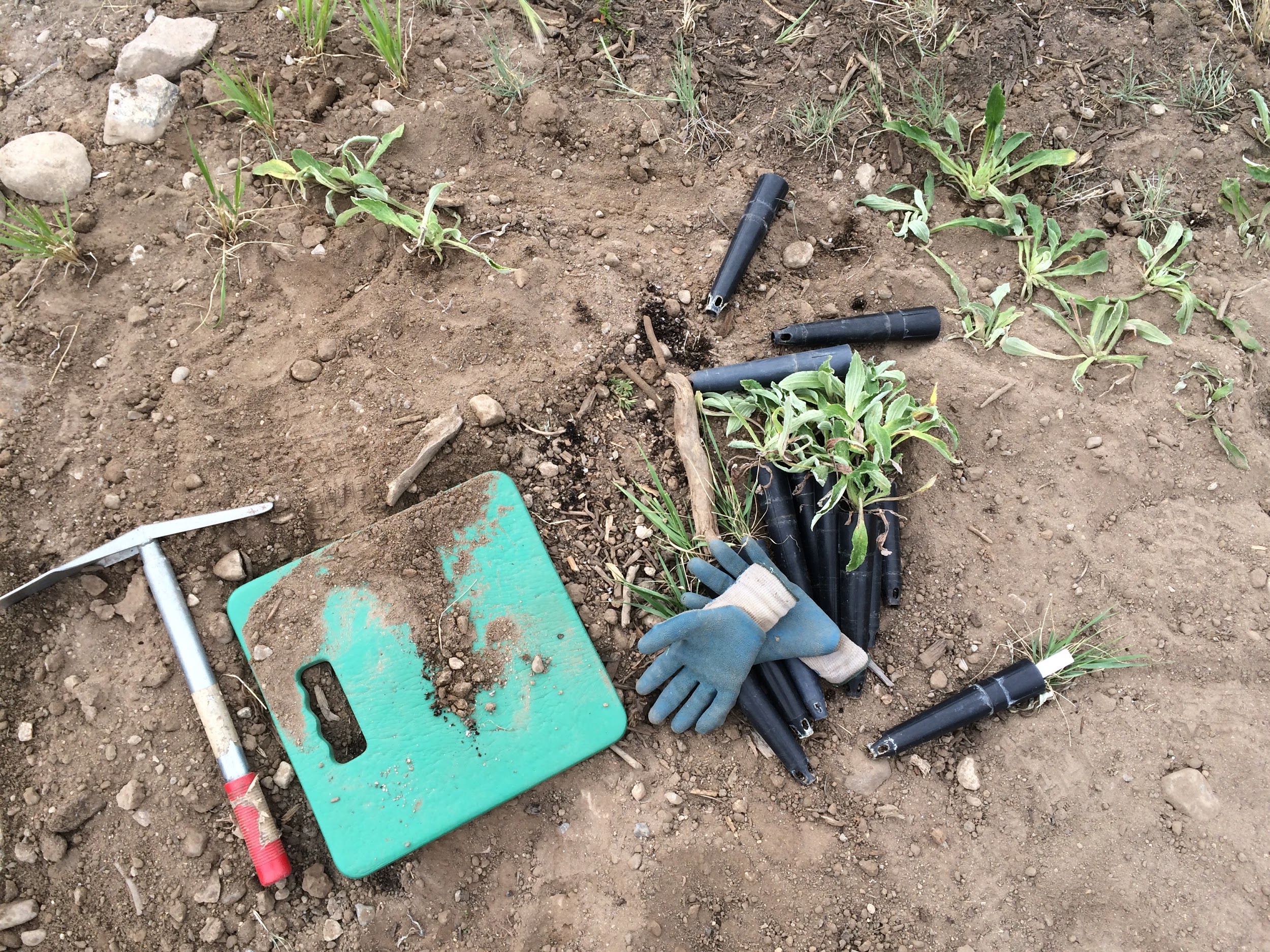 Tools lying on the ground