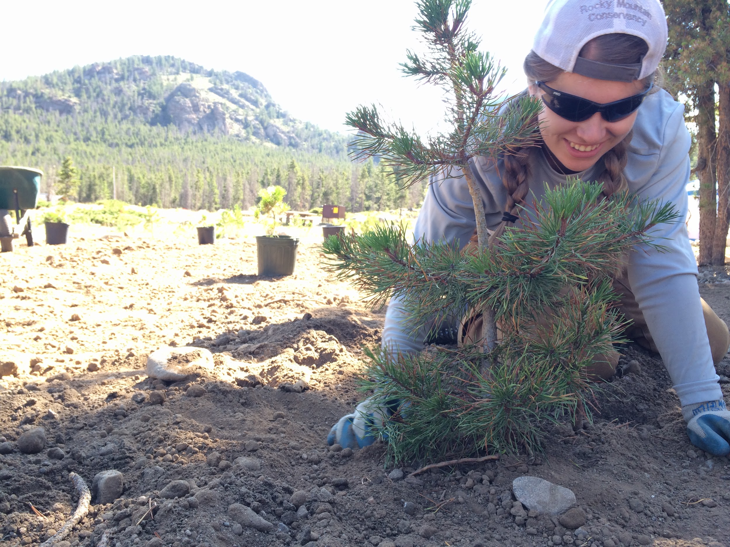 A woman planting a young pine tree in a mountainous area, wearing a hat and gloves, with a smile.