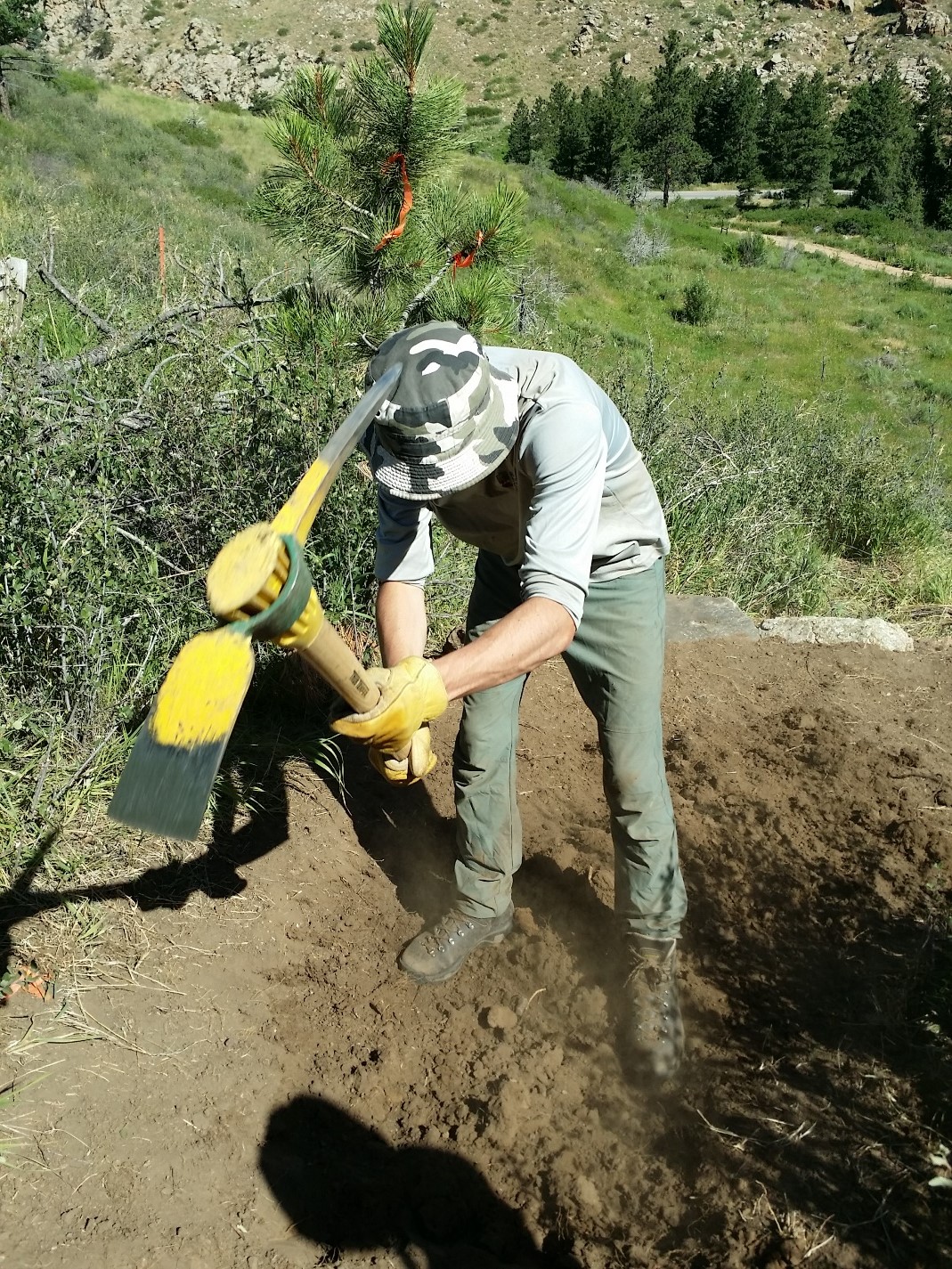 A man in a hat and gloves uses a pickaxe to dig in a dirt area surrounded by greenery.