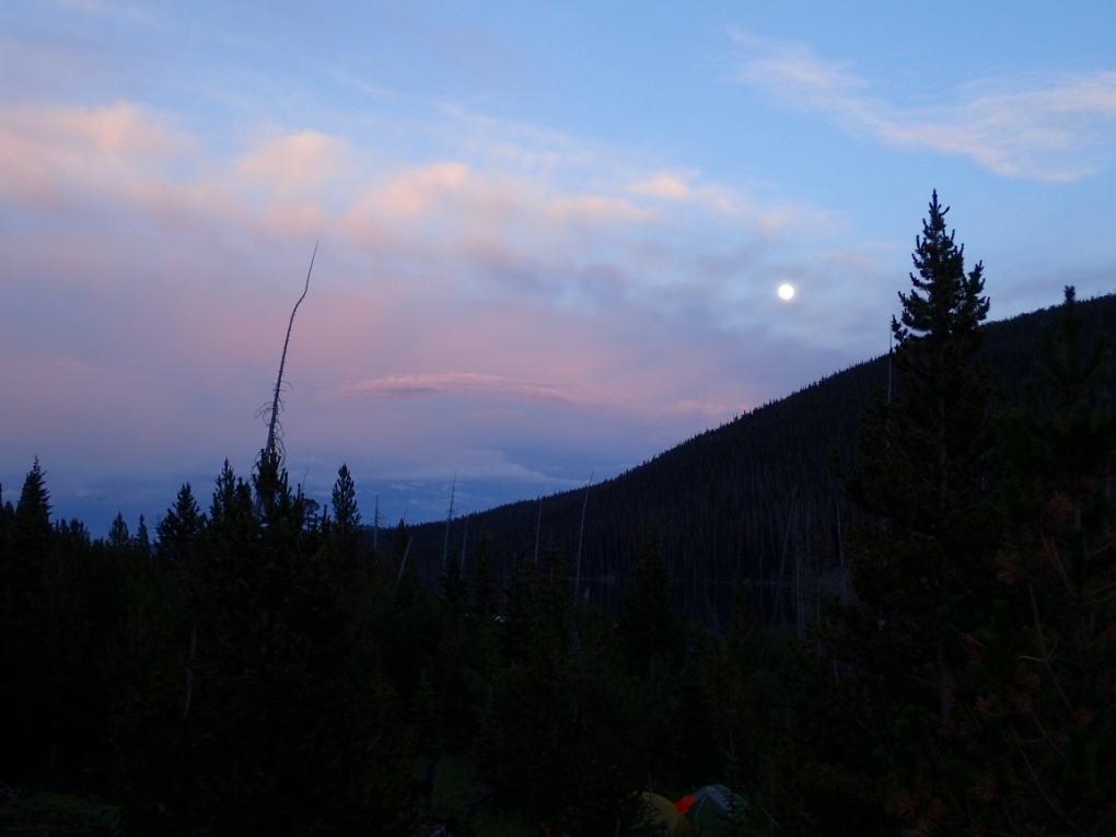 Twilight sky with pink clouds and a visible moon over a forested landscape
