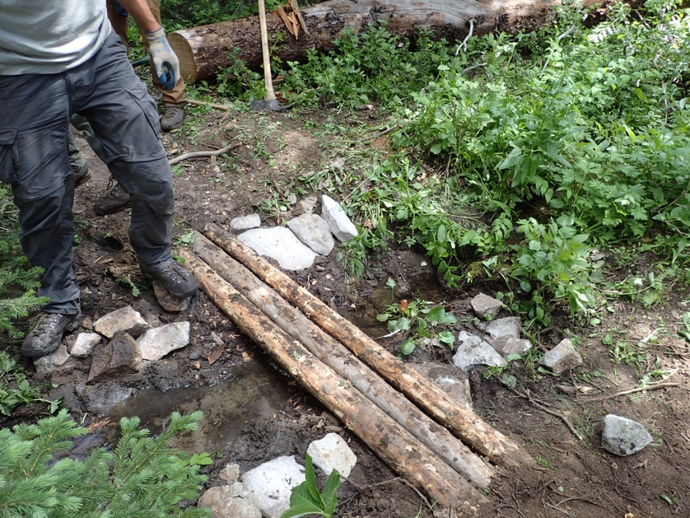 A person constructing a small makeshift bridge with logs over a muddy trail in a forested area.
