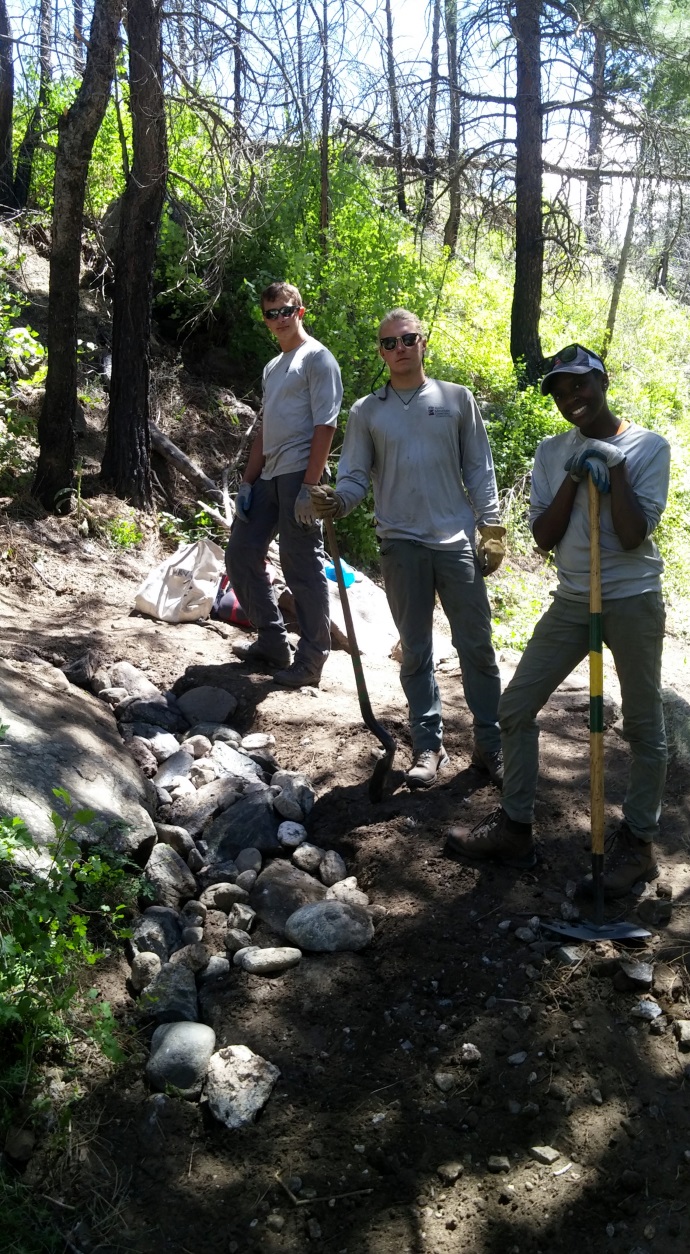 Three individuals with tools standing on a rocky trail in a forest