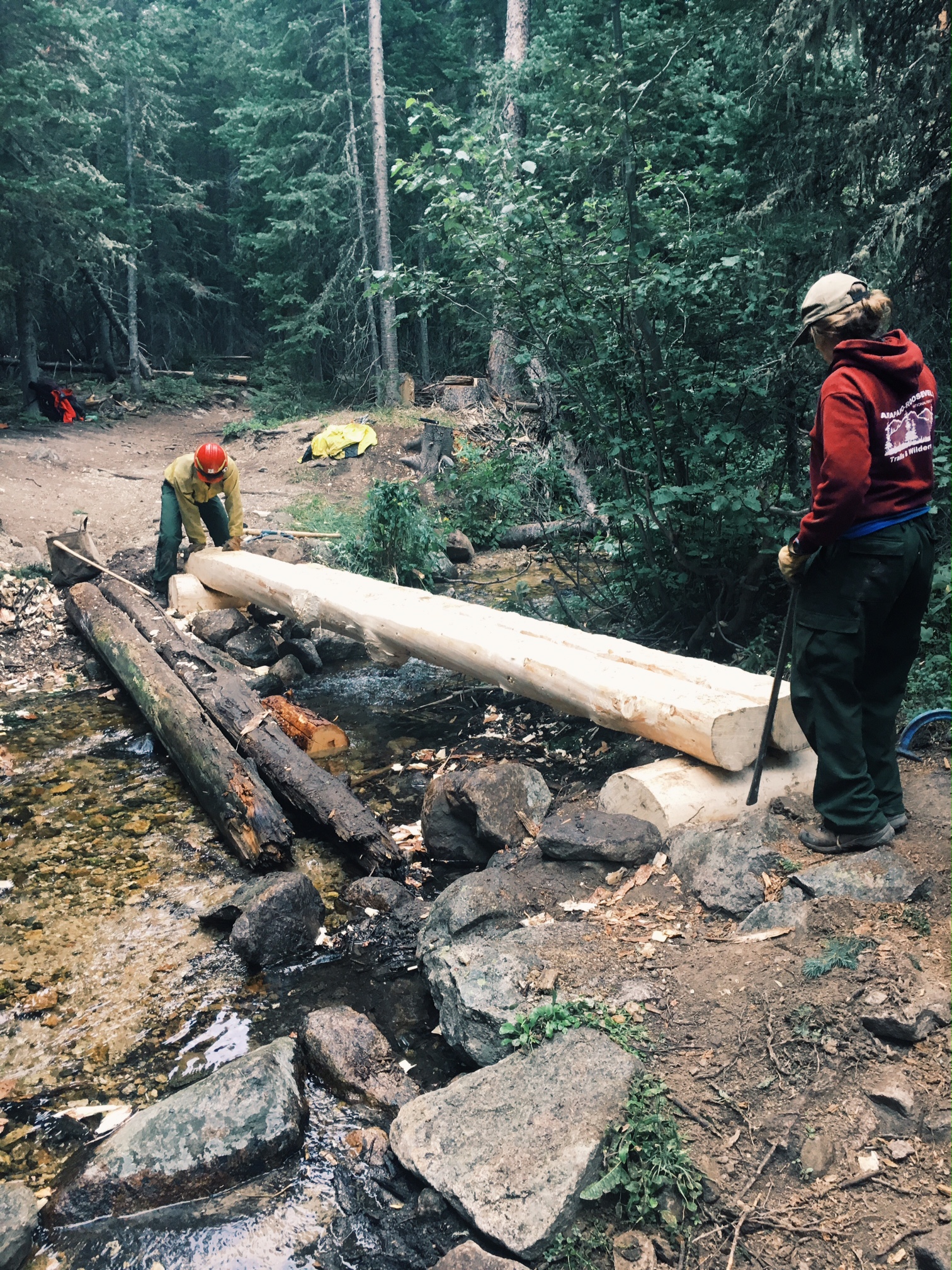 Two people working on a log bridge over a stream in a forest