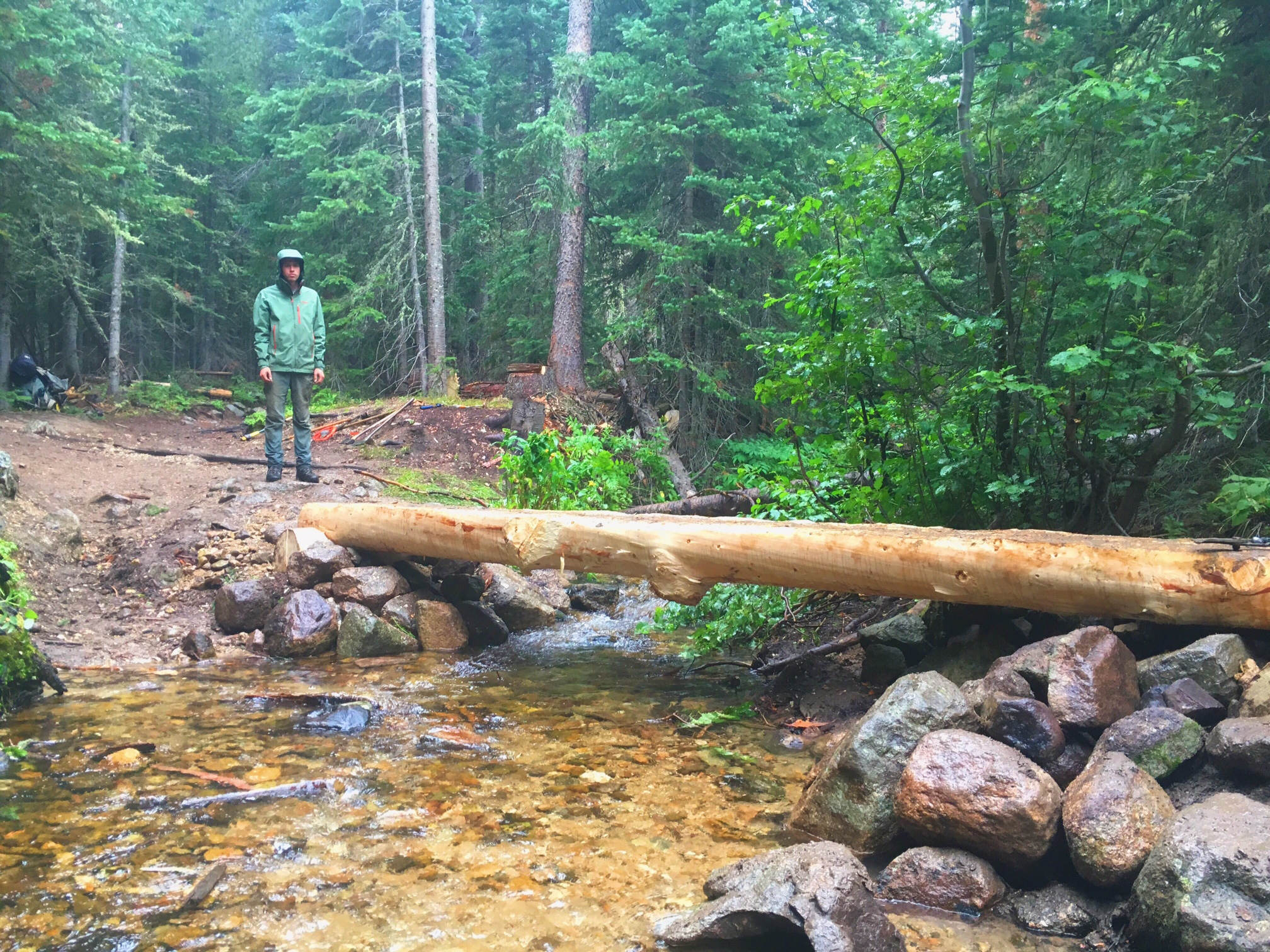 A man in hiking gear stands by a small stream crossed by a log bridge in a dense forest.