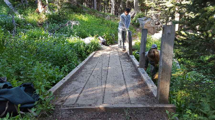 People fixing a small wooden bridge in the woods