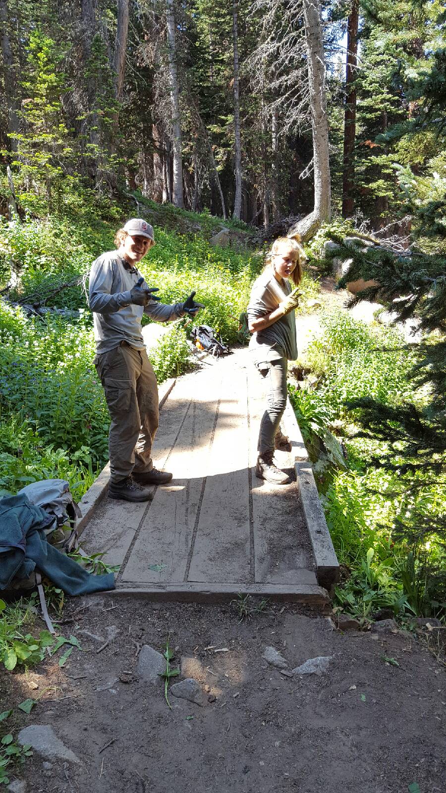 Two people constructing a wooden bridge in a forest, surrounded by green trees, using tools.