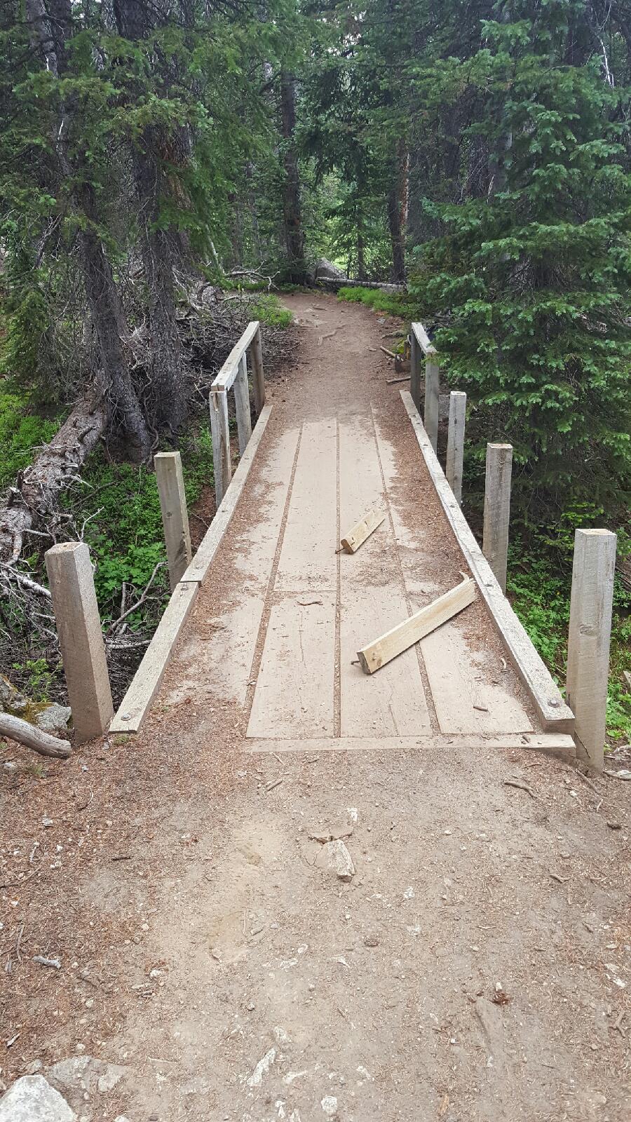 A small wooden bridge on a forest trail