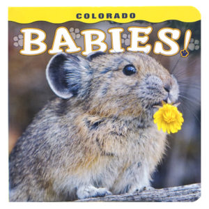 Colorado Babies board book.