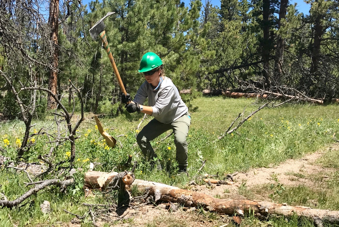 A forest worker in a green helmet chops at a fallen log with an axe