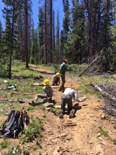 Three people working on a forest trail