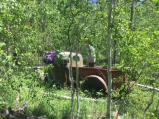 Will and Mary checking out the random and deserted truck found off of Doe Creek Trail.