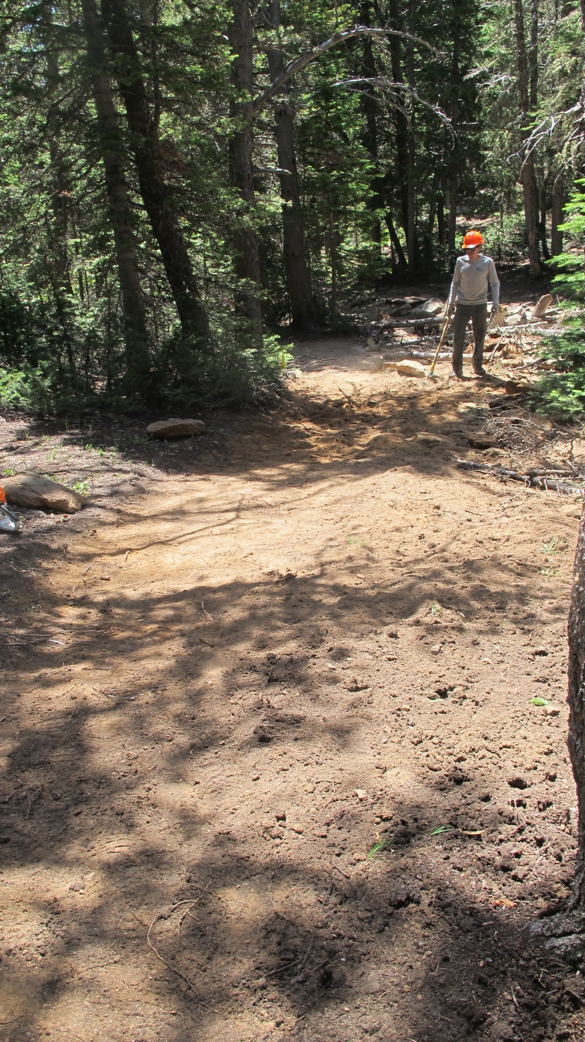 A person stands on a dirt path in a forest, holding a shovel near some freshly moved soil.