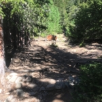 A dirt trail leading to a cabin in the woods.