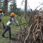 A group of people standing next to a pile of logs.