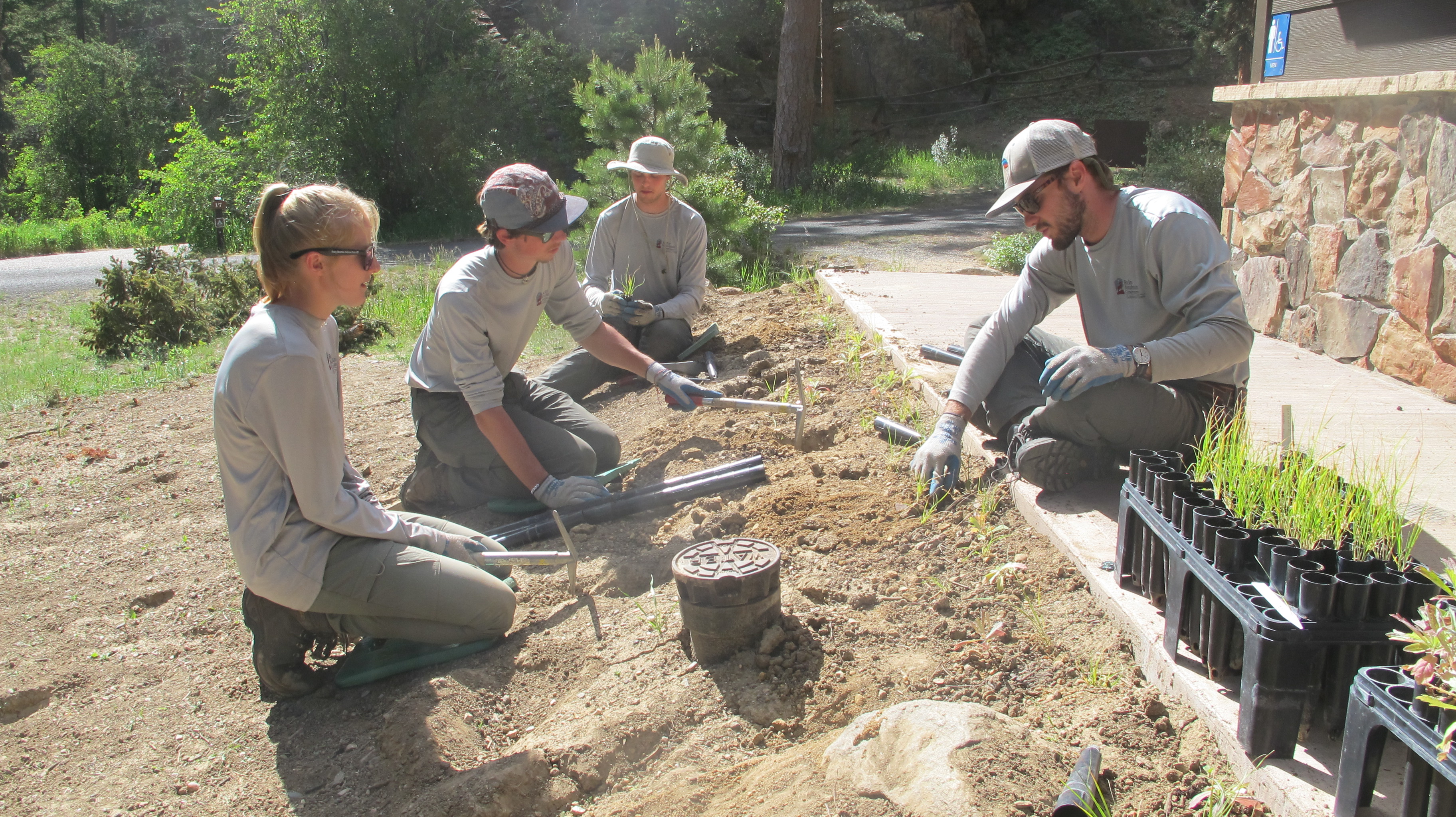 Four people plant flowers and work in a garden along a path