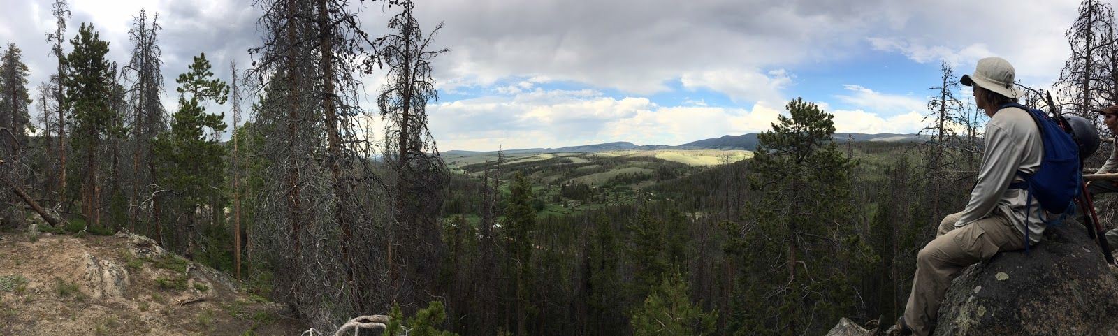A person sitting on a rock overlooks a vast, forested landscape under a cloudy sky.
