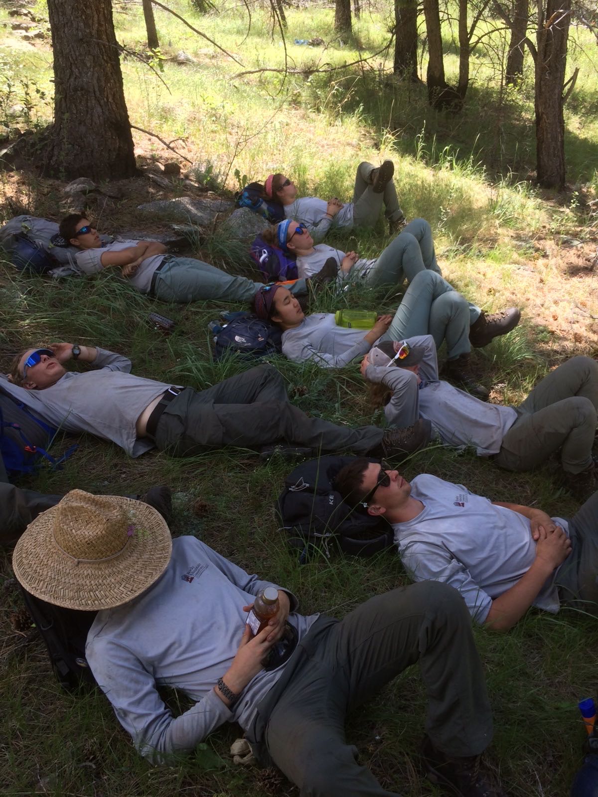 Group of hikers resting on the ground in a forest, some with hats, surrounded by trees and grass.