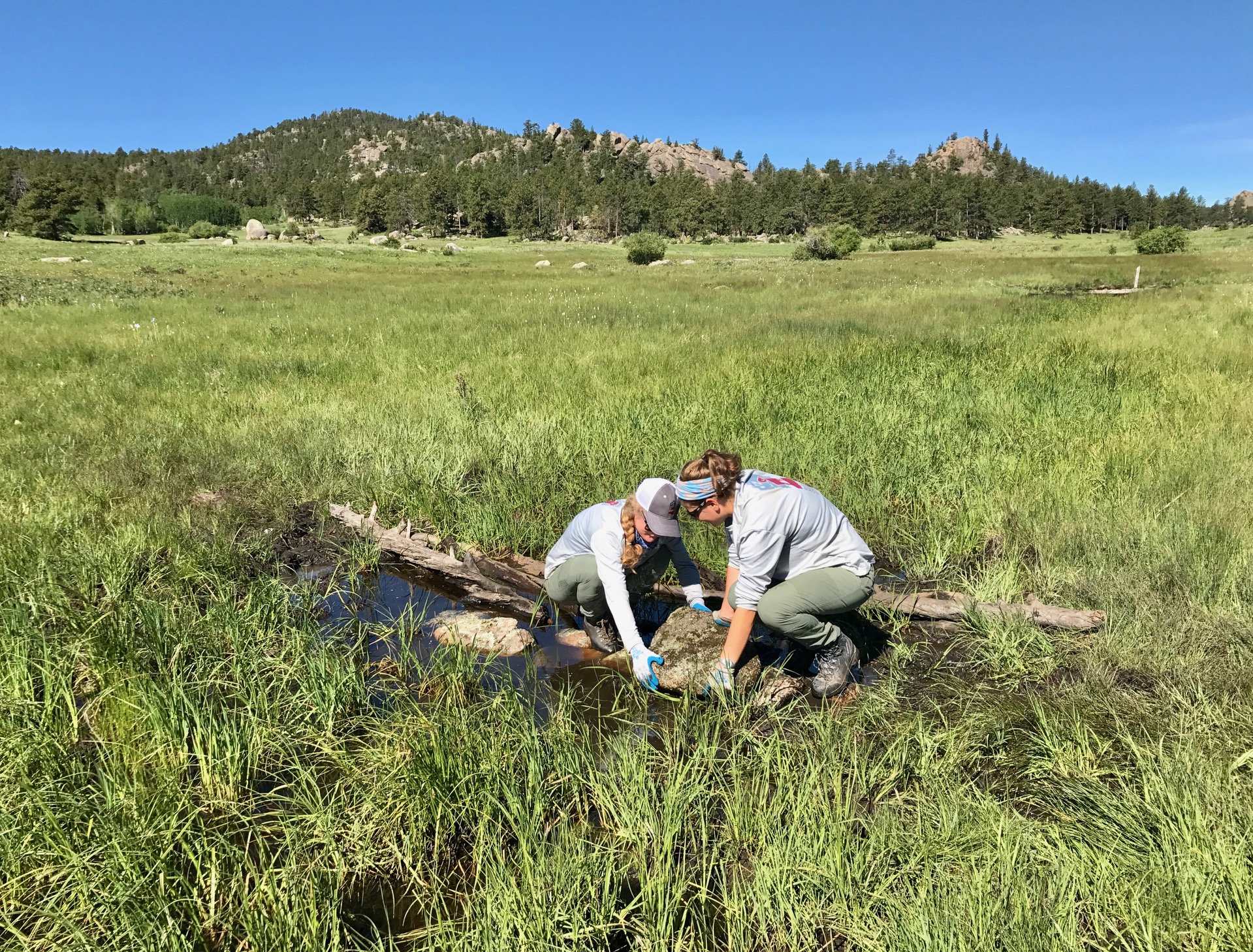 Two women constructing a stepping stone across a water stream