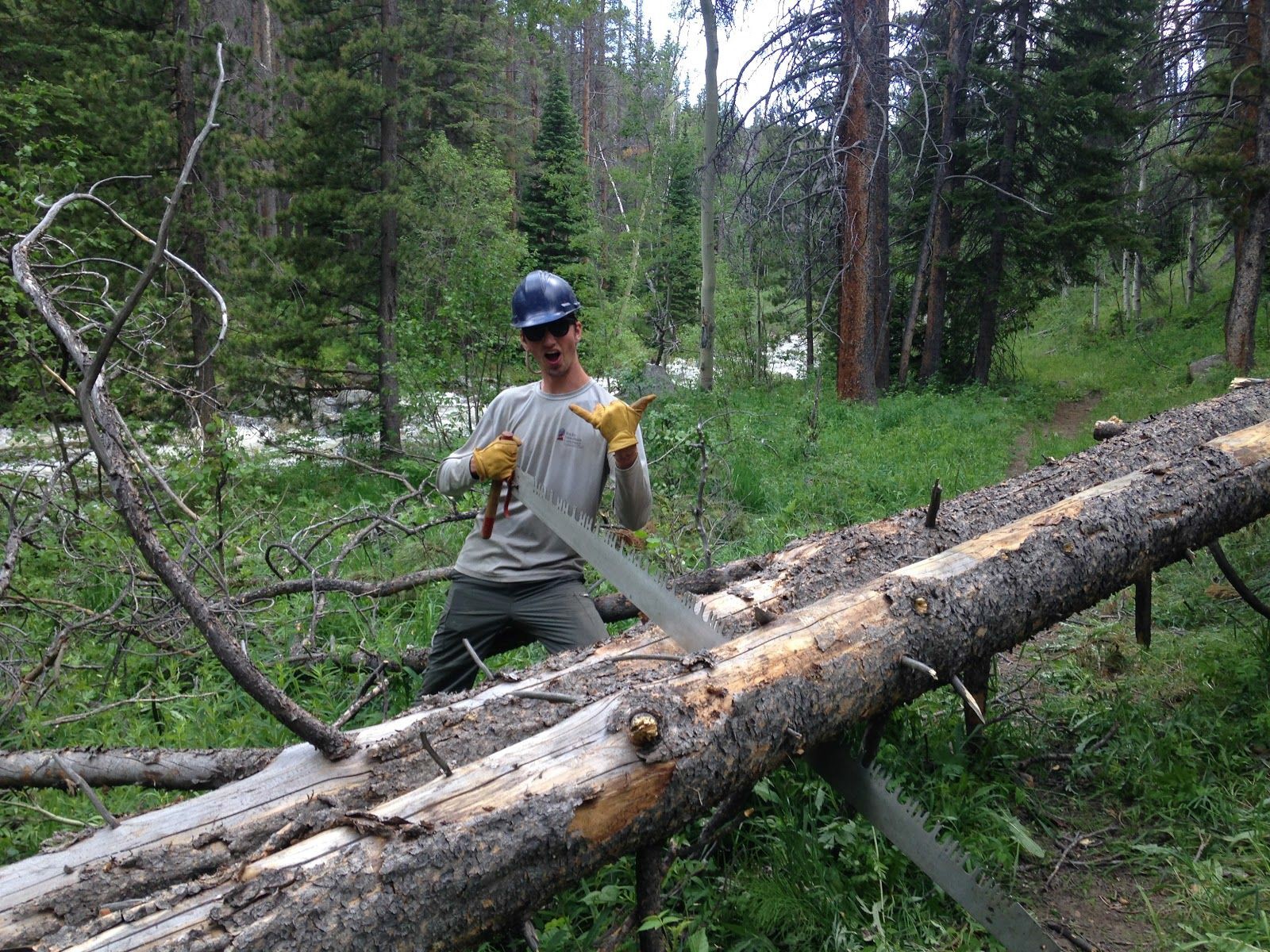 A person wearing a helmet and gloves uses a crosscut saw on a fallen log in a forest.