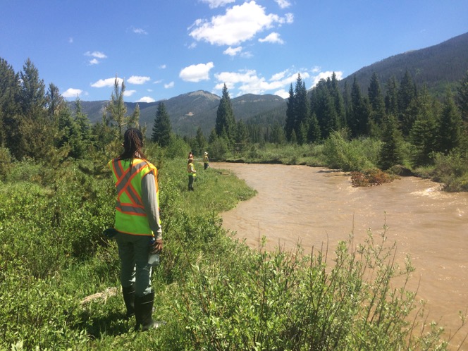 A person wearing a safety vest and boots standing by a muddy river in a forested area