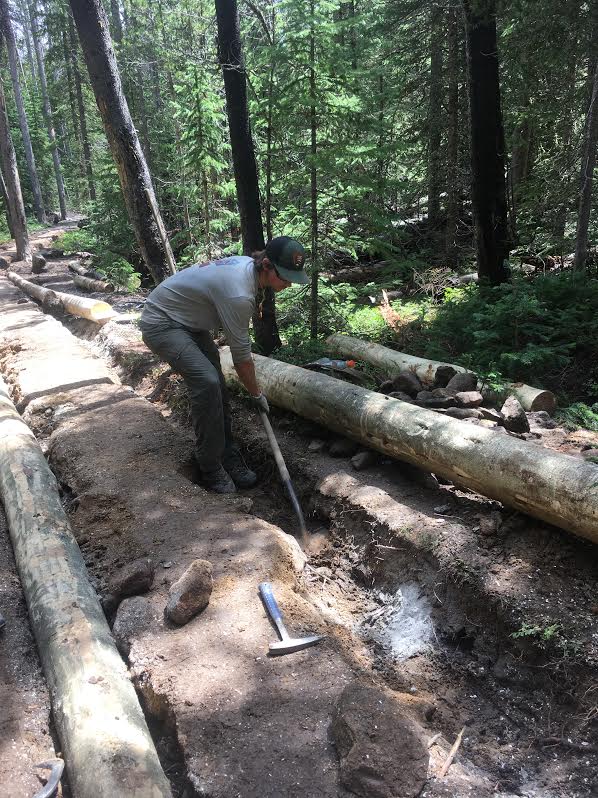 A man in a cap and grey shirt using a shovel to dig near a log in a forested area, with sunlight filtering through the trees.