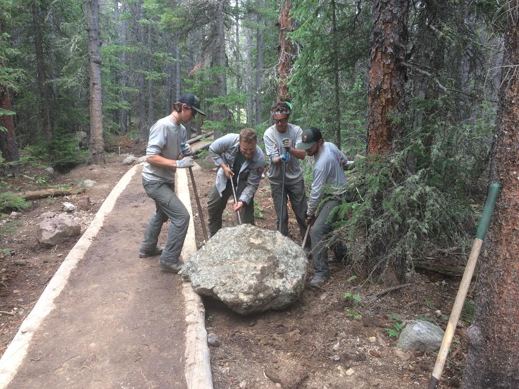 Four park rangers working together to lift a large rock onto a constructed trail barrier in a dense, wooded area.