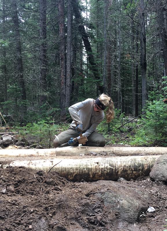 A person examining a cut log in a dense forest using a magnifying glass.