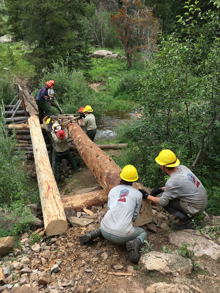 A group of construction workers in hard hats installing a wooden log bridge over a stream in a forested area.