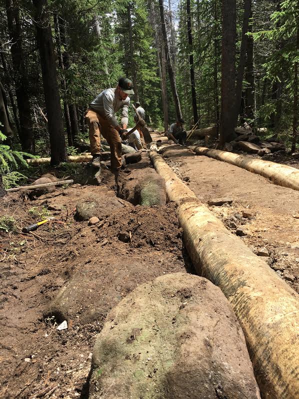 A man works on laying logs across a dirt trail in a forest, using a tool to adjust the placement of the logs.