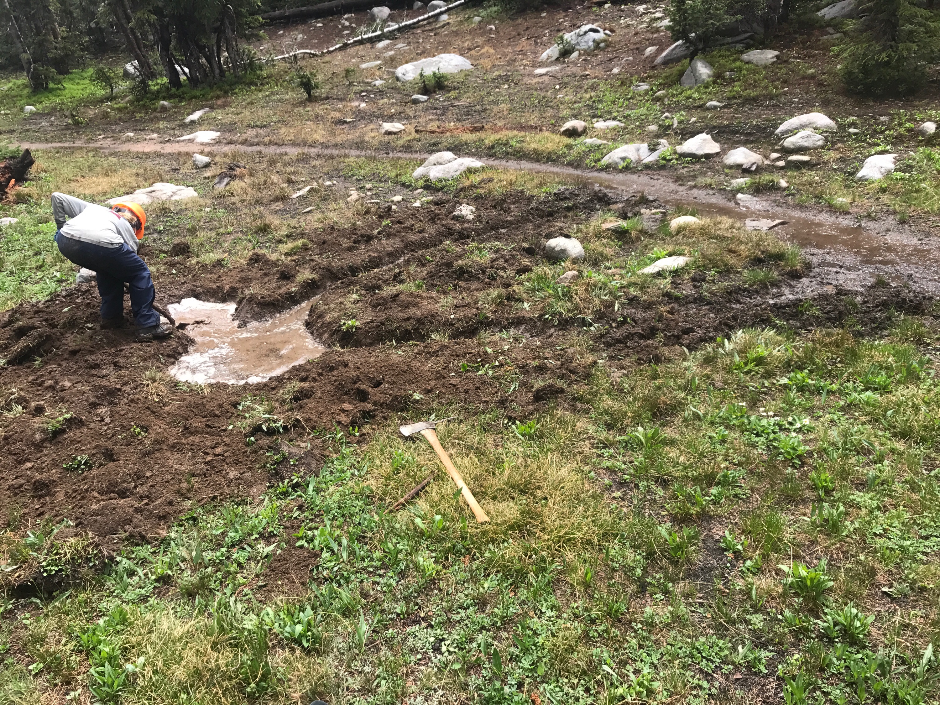 A person in a rain jacket works on muddy terrain with a shovel near a forested area.