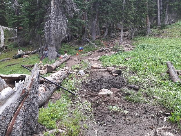 A forest trail with fallen trees, rocks, and people camping in the background, in a lush green setting.