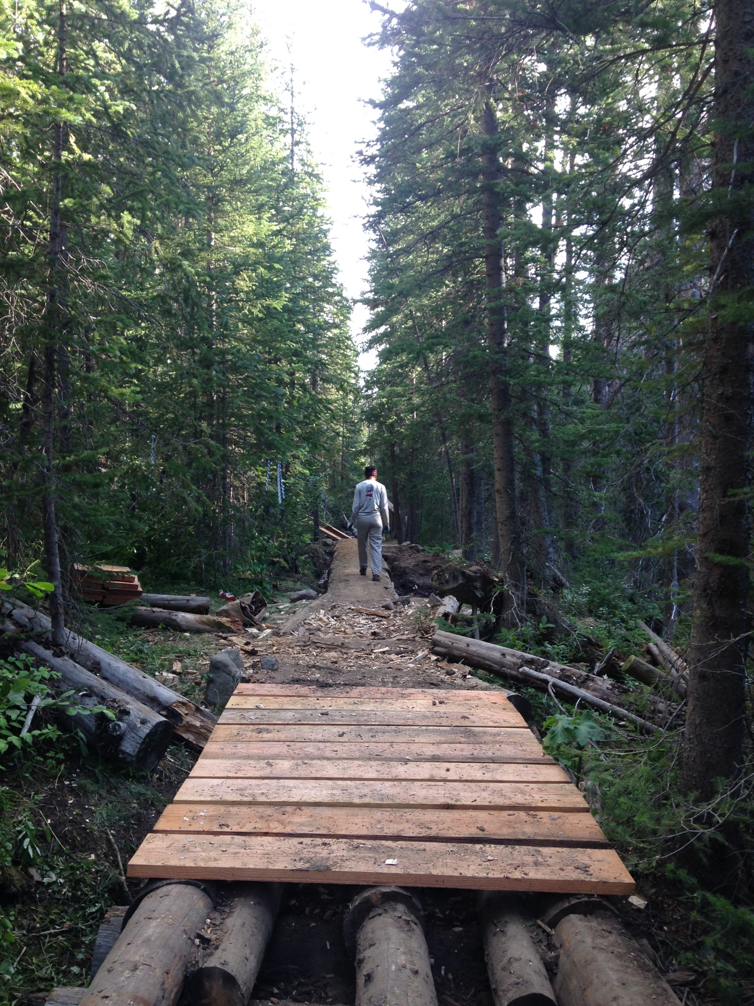 A man walks away on a wooden bridge through a dense forest with tall trees.