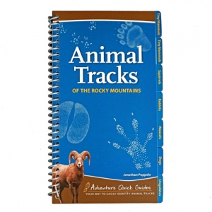 Animal Tracks of the Rocky Mountains.