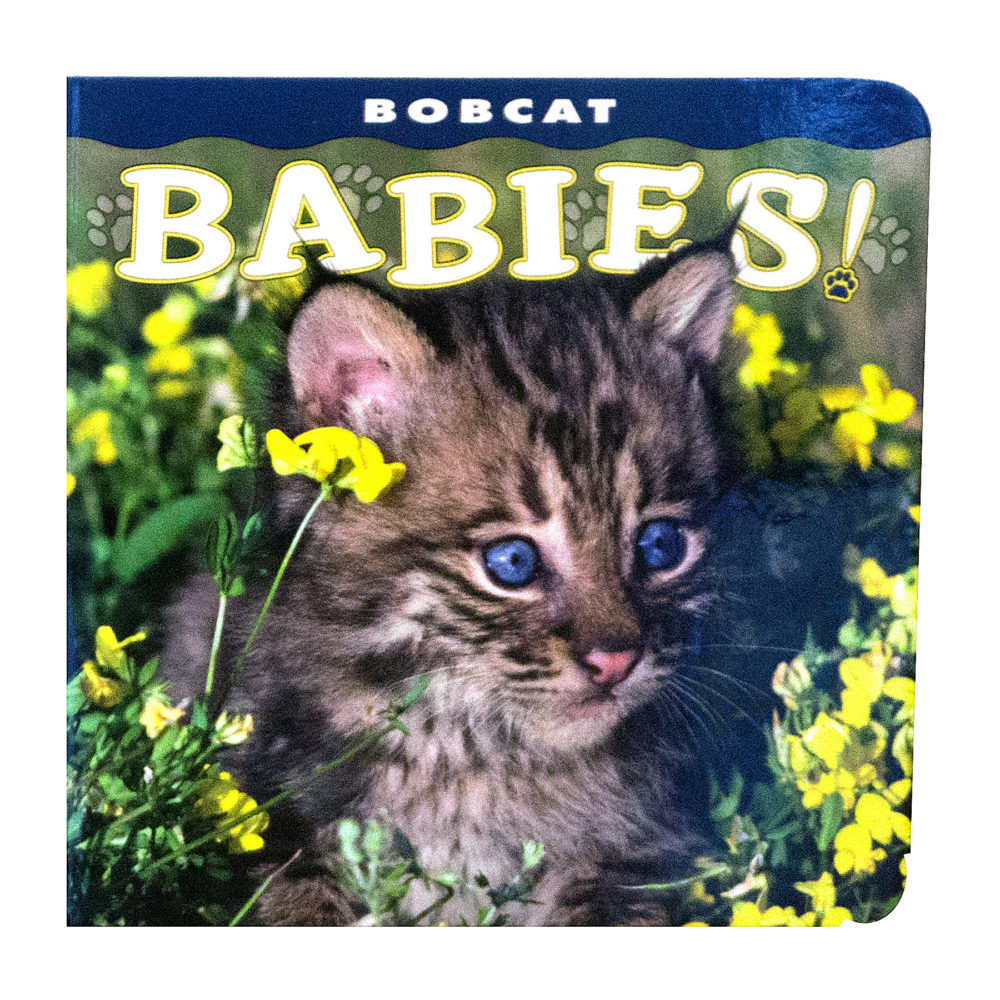 Fox Babies baby's board book.