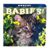 Fox Babies baby's board book.