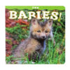 Baby Fox A book with the title Fox Babies.