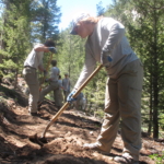 A group of people working on a trail in the woods.