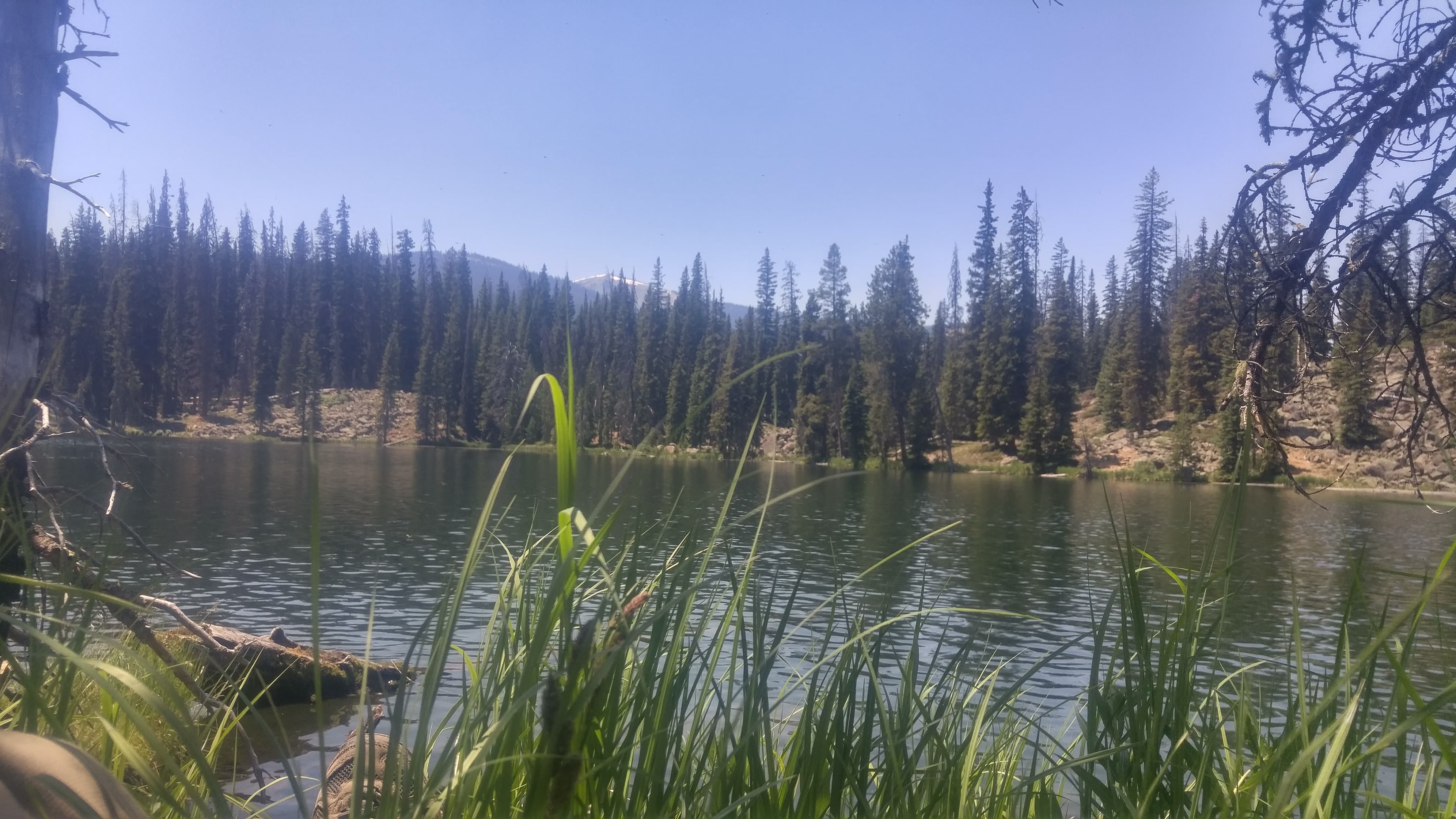 A serene lake surrounded by dense forests and mountains