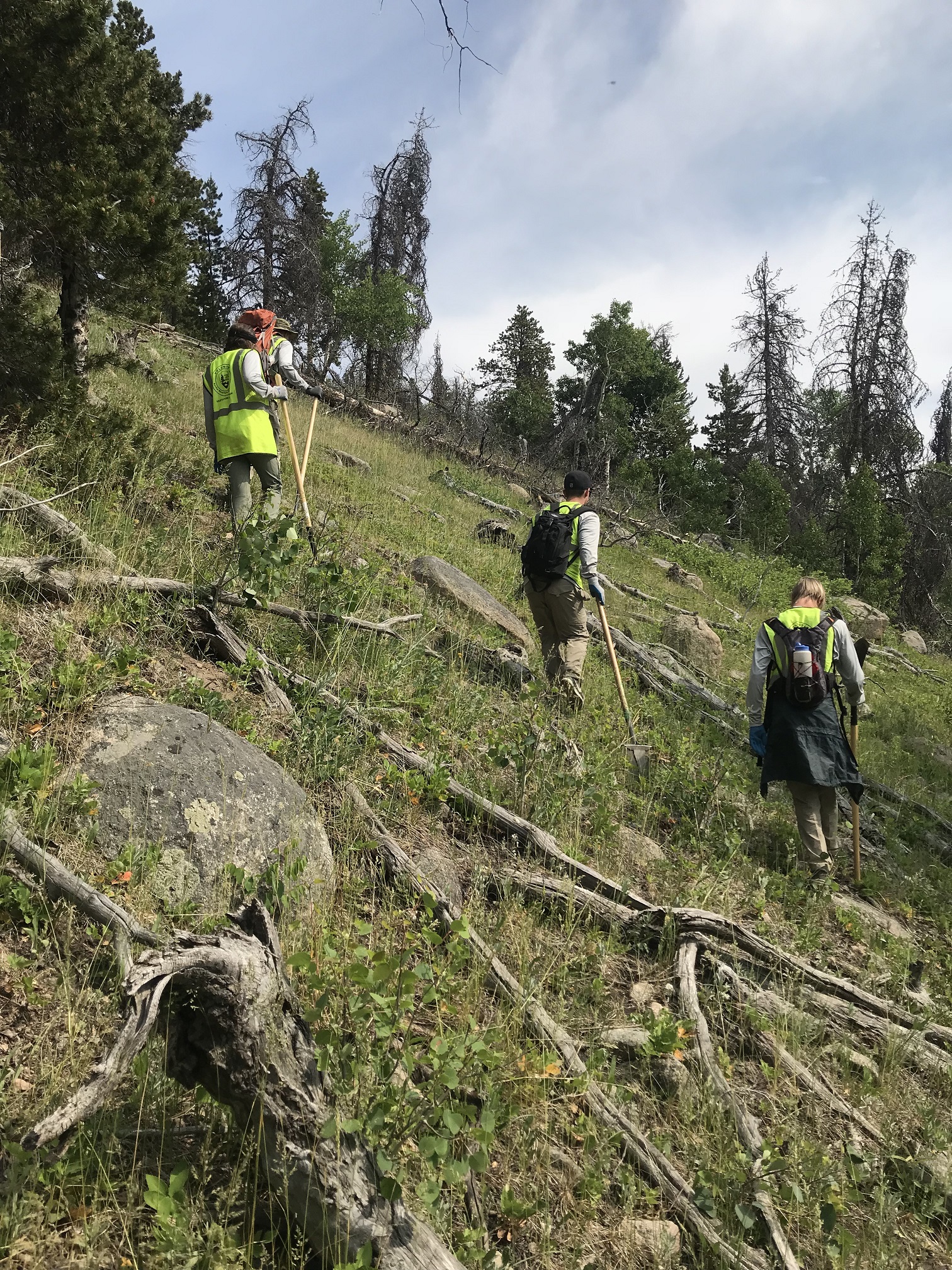 Three people in safety gear surveying a rocky hillside forest area.
