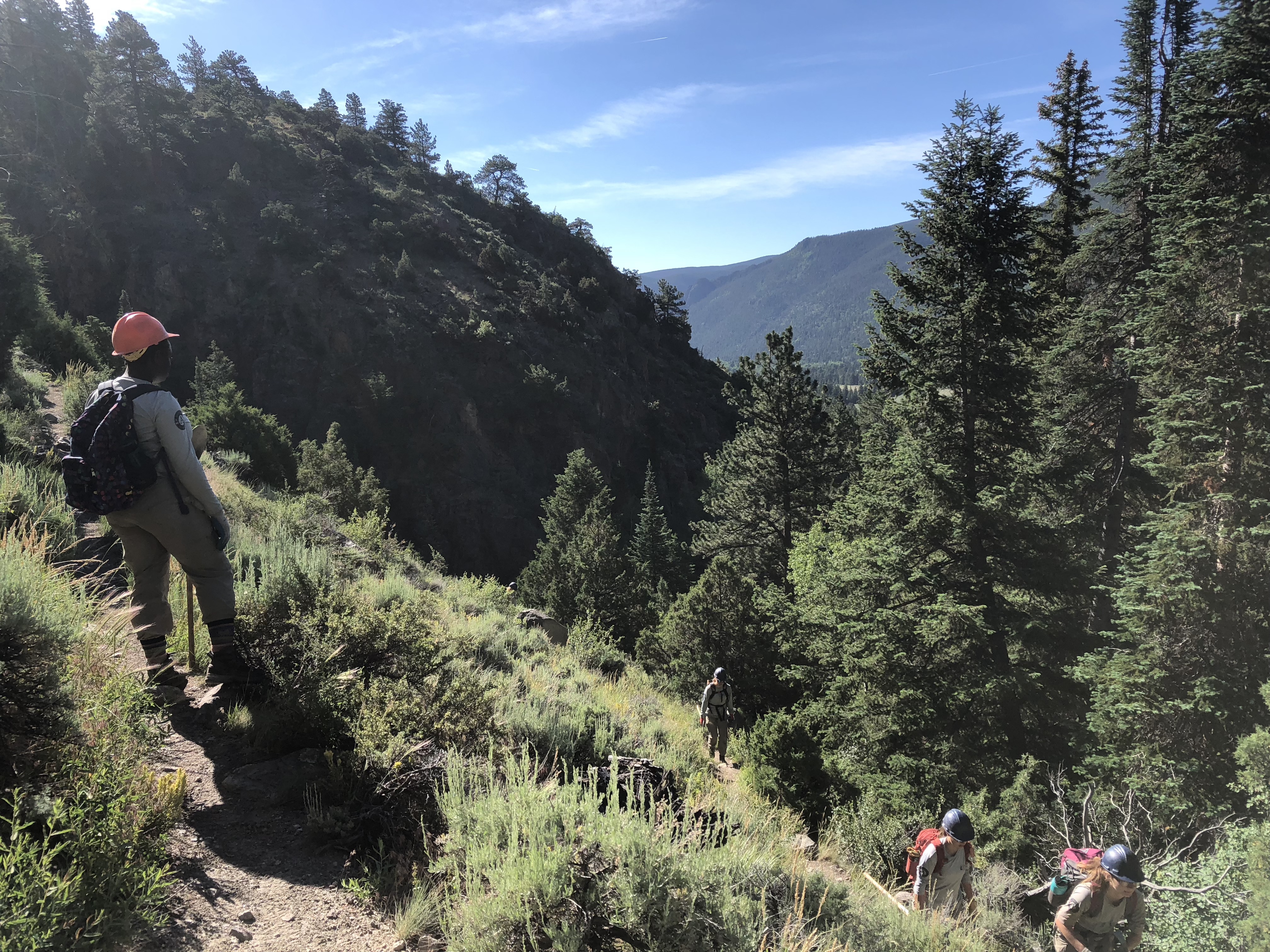 Hiker on a mountain trail overlooking a forested valley