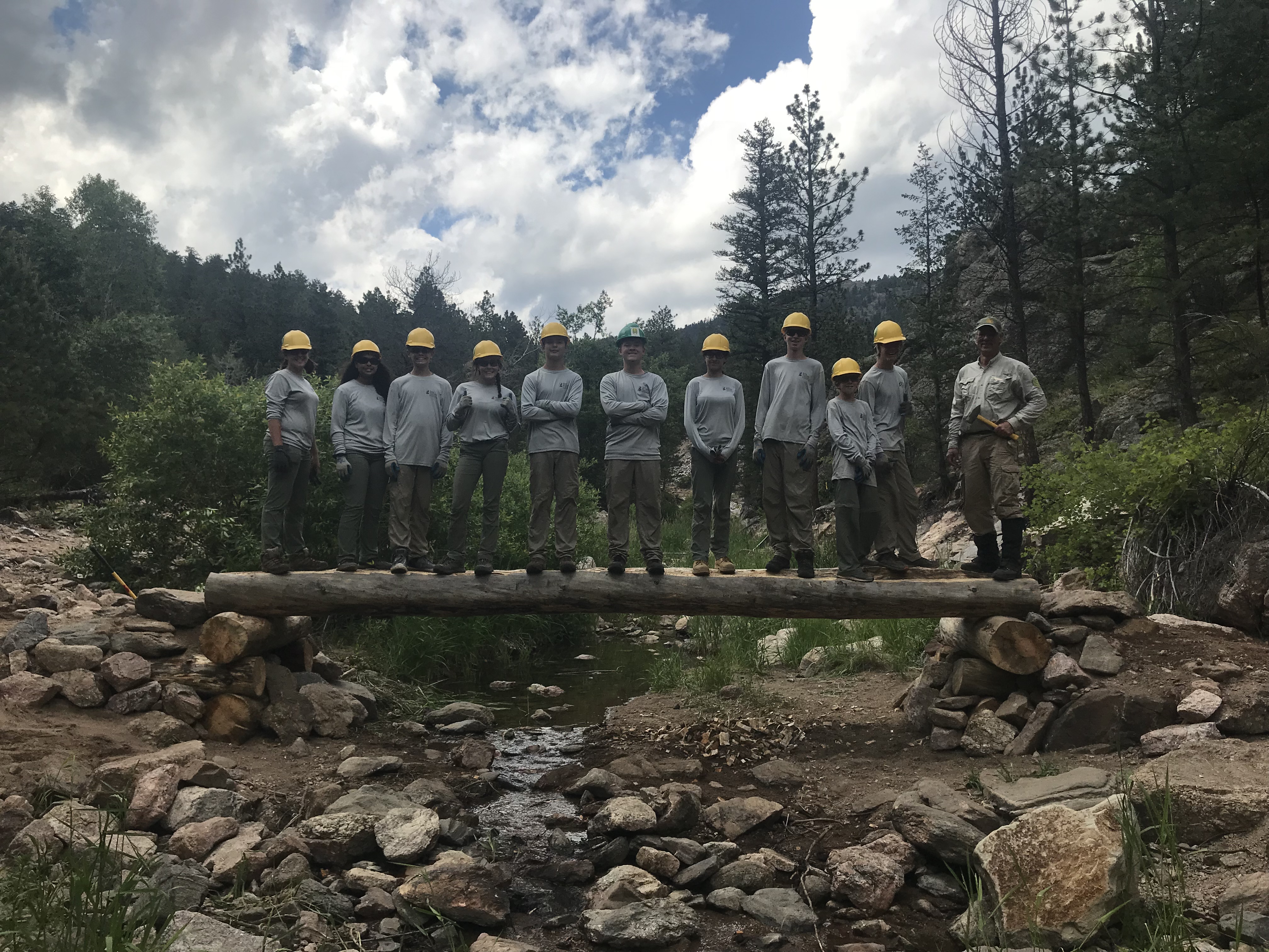 A group of ten forest workers standing on a log bridge over a creek
