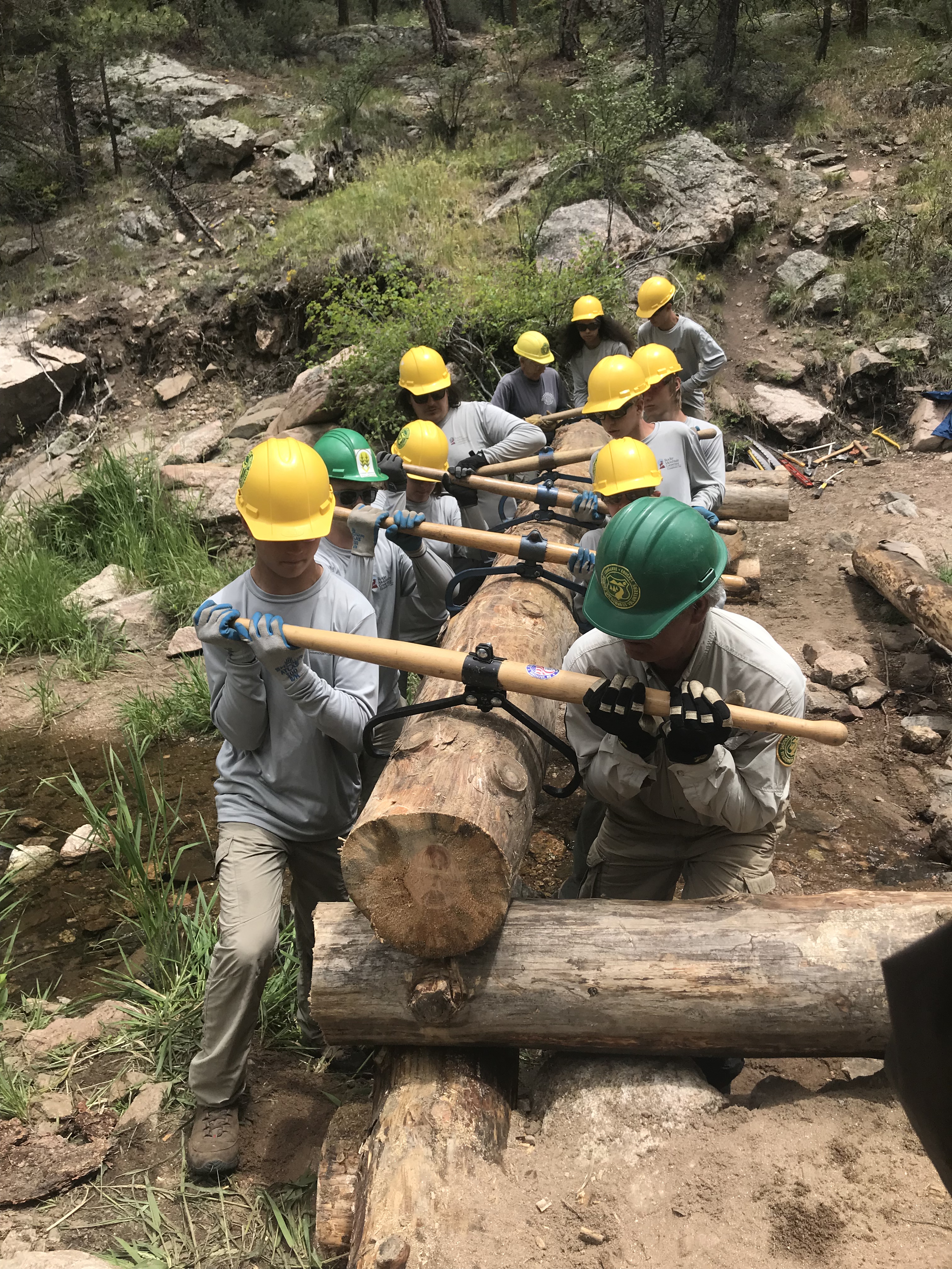 A group of workers in helmets and safety gear carrying a large log in a forested area.