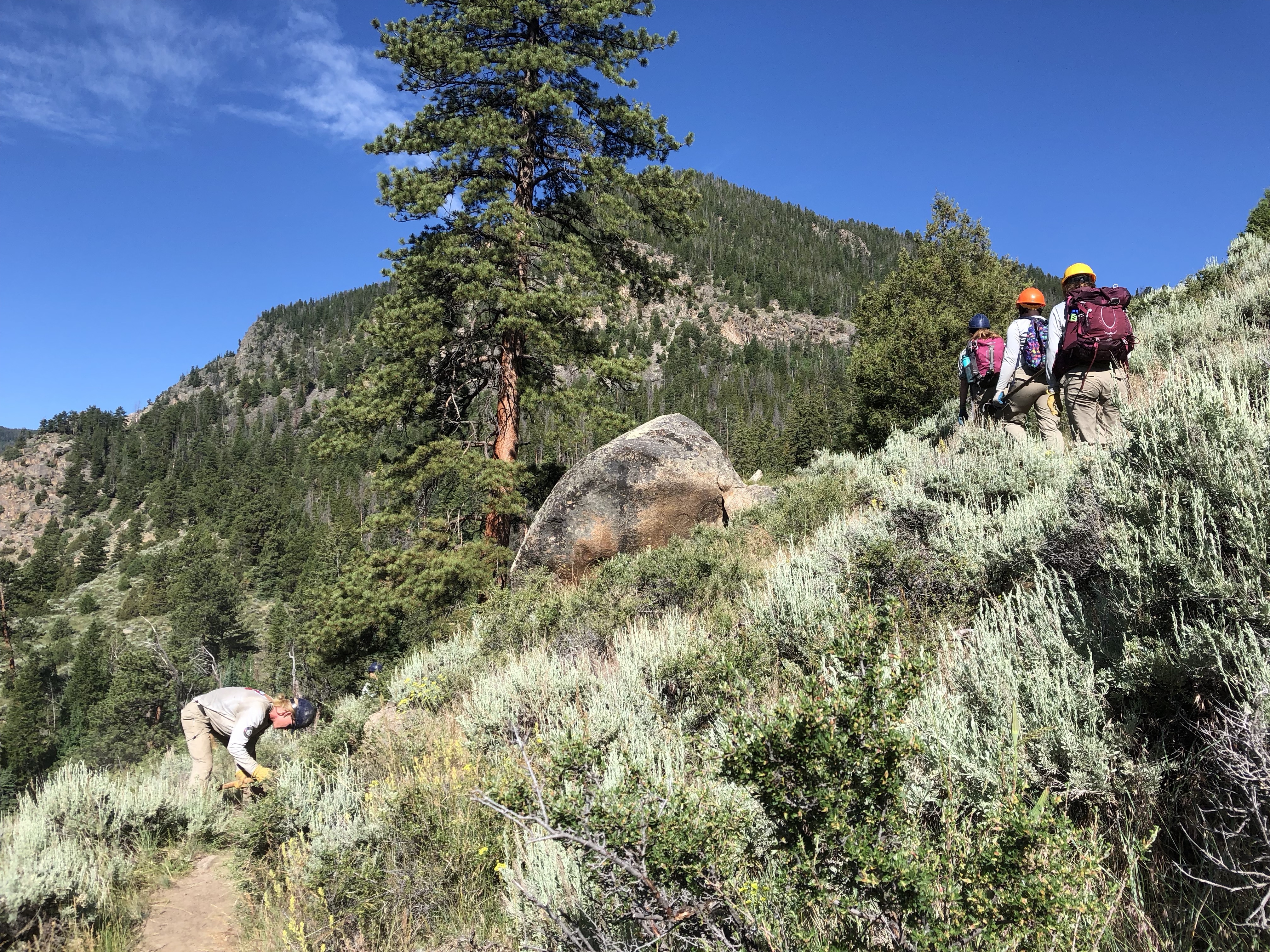Three hikers on a mountain trail with lush greenery and large boulders