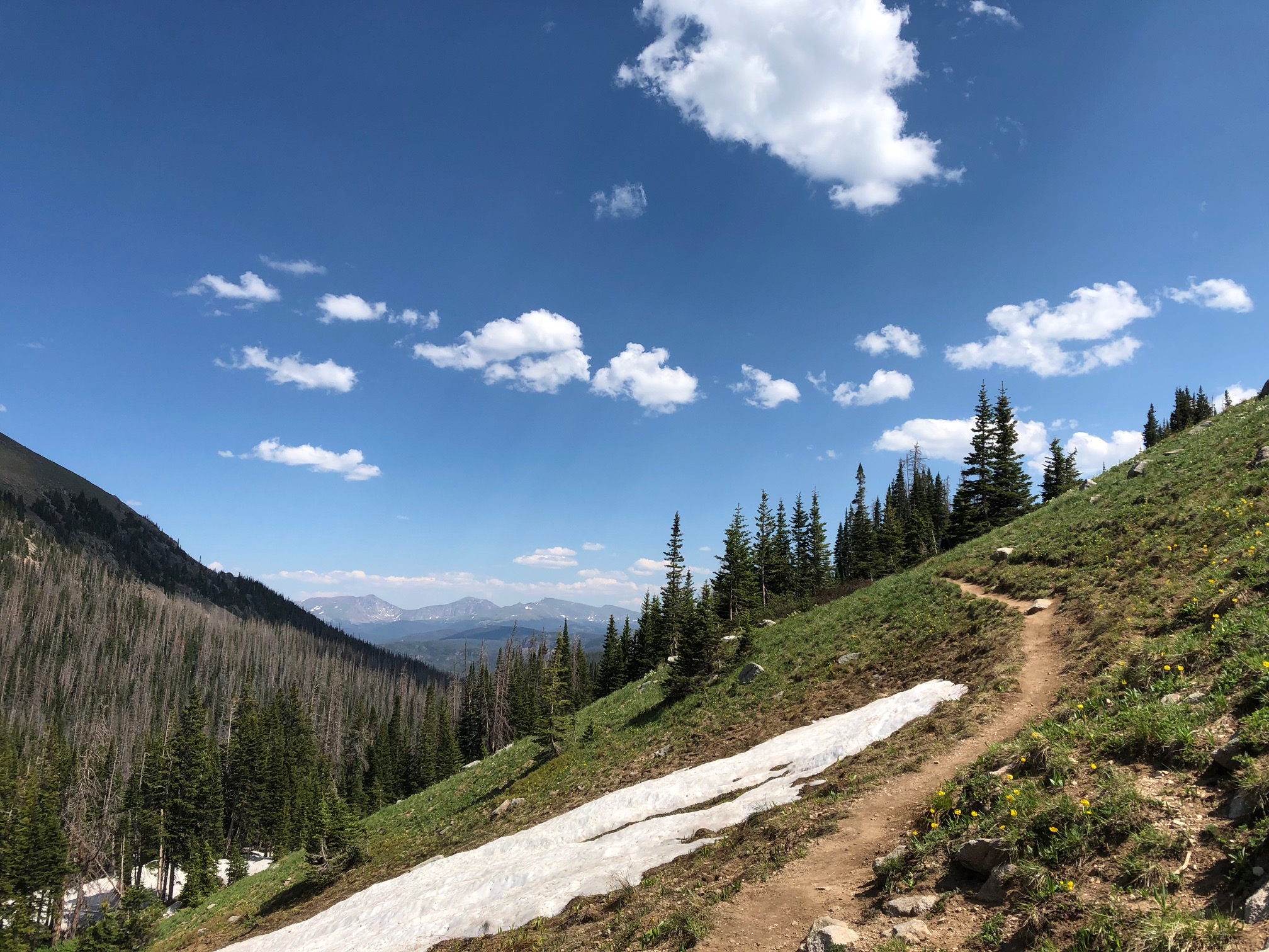 A mountain trail curves through a forested landscape with patches of snow