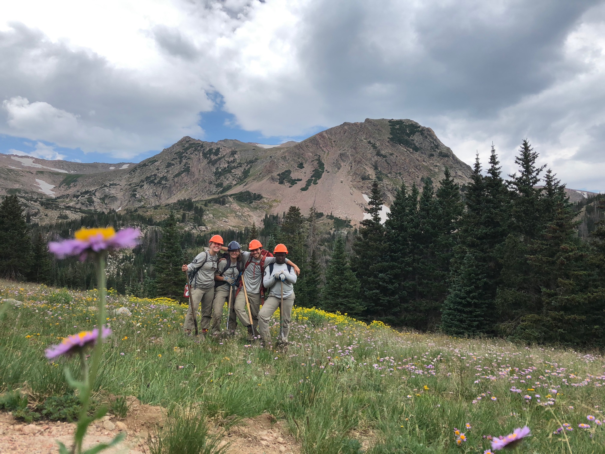 Four hikers walking through a mountainous field