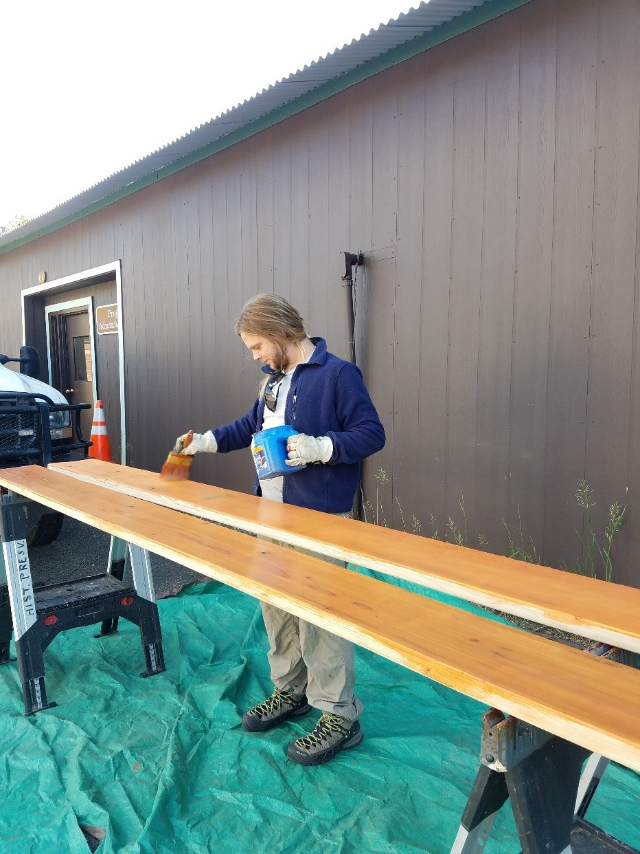 A person applying varnish to a wooden board set on sawhorses