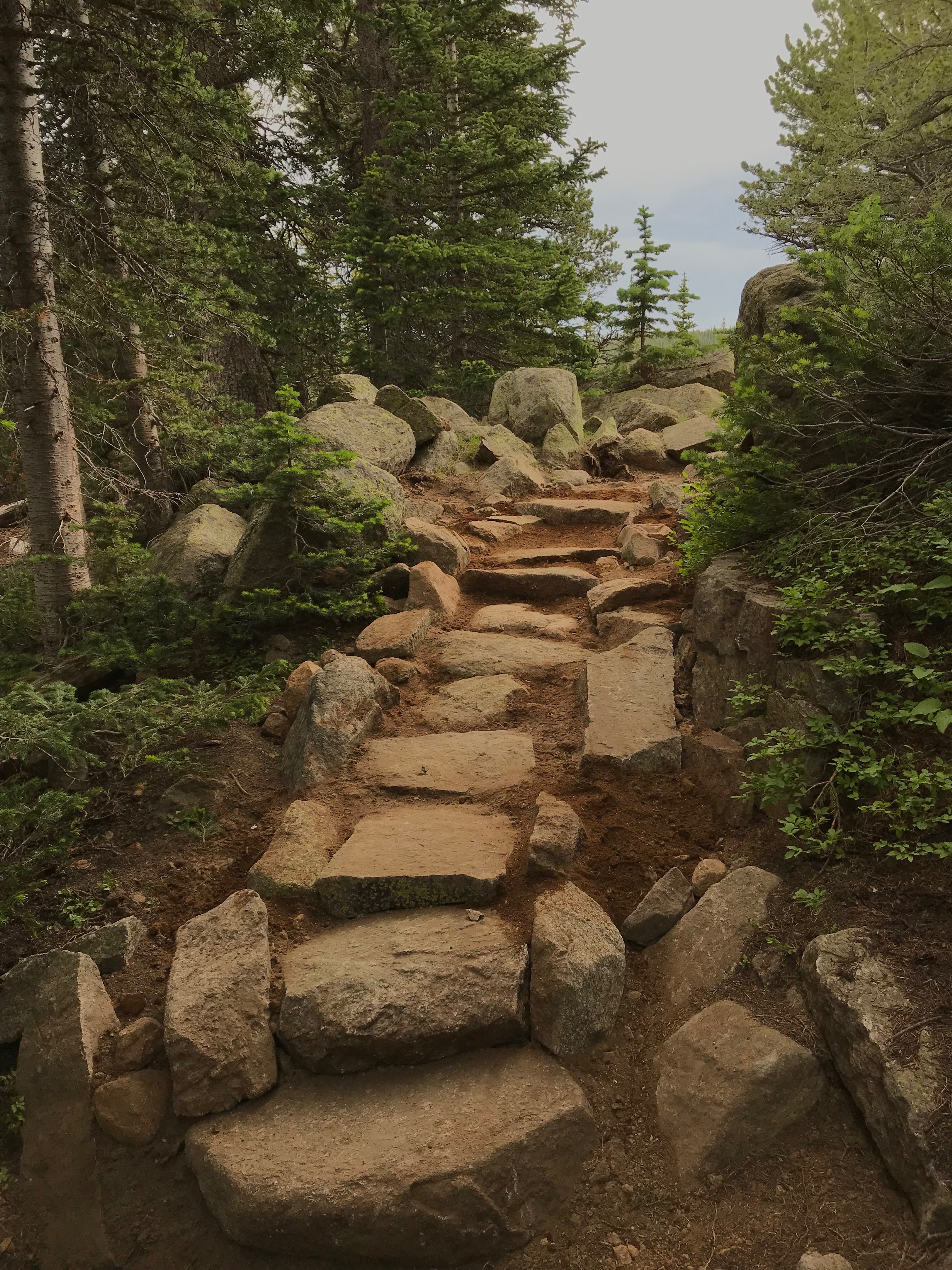 Rocky hiking trail with stone steps ascending through a dense forest.
