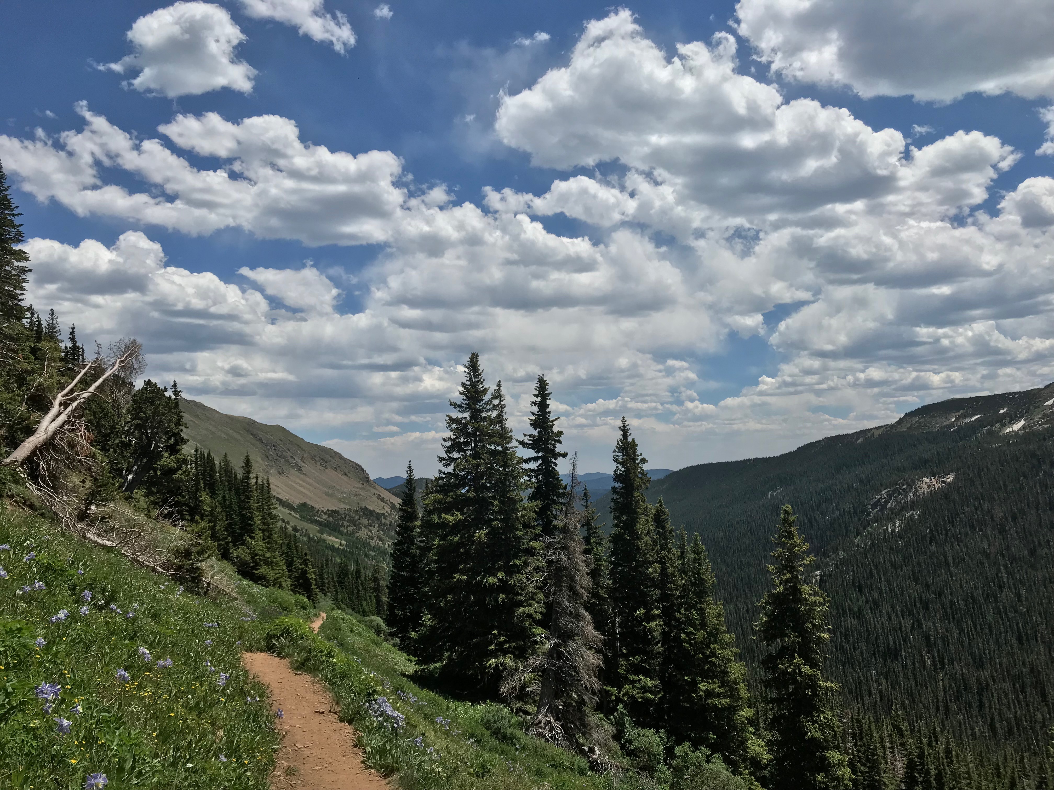 Dirt trail winding through a mountainous landscape with green trees