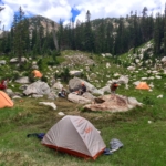 A group of tents set up in a grassy area.