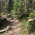A person riding a bike on a trail in the woods.